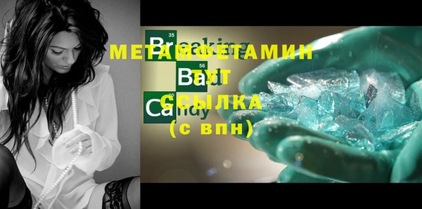 PSILOCYBIN Дмитриев