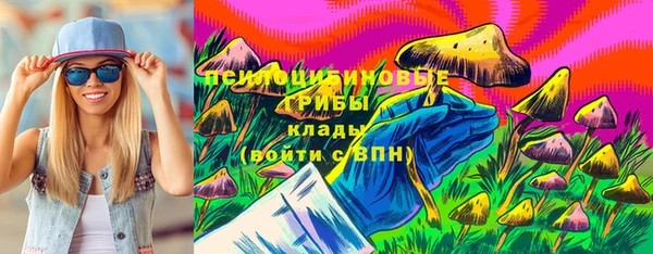 гидропоника Дмитровск