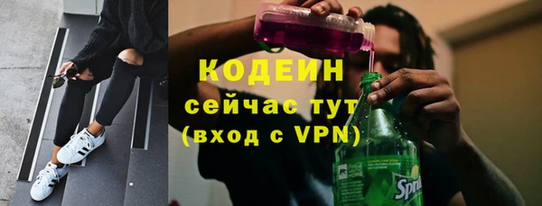 соль ск Дмитров