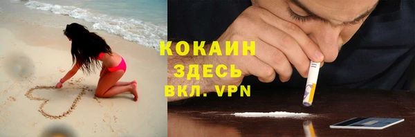 соль ск Дмитров