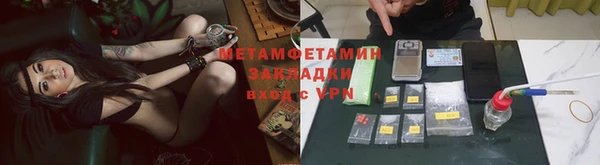 PSILOCYBIN Дмитриев