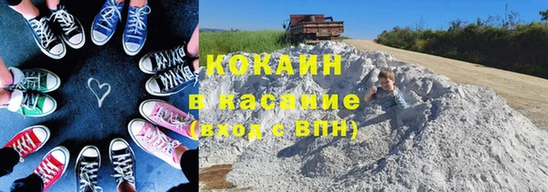 соль ск Дмитров