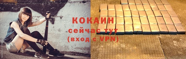 PSILOCYBIN Дмитриев