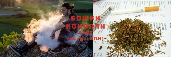 соль ск Дмитров