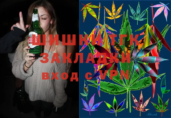 соль ск Дмитров