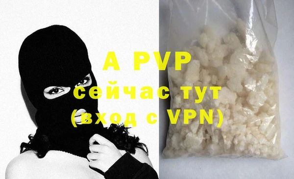 PSILOCYBIN Дмитриев