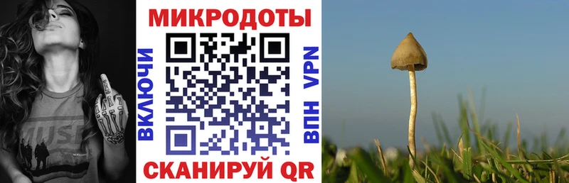Псилоцибиновые грибы MAGIC MUSHROOMS ссылка на мегу как войти Ермолино